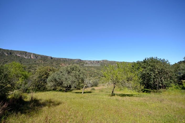 Image No.9-Plot for sale