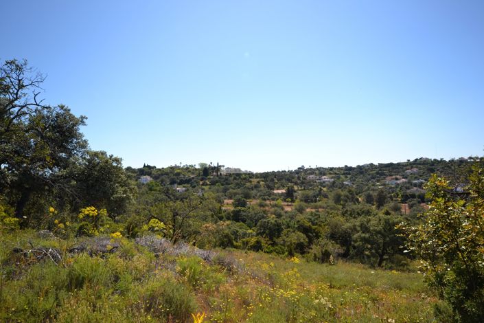 Image No.30-21 Bed Land for sale