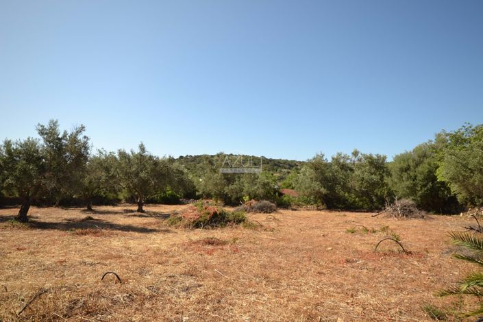 Image No.1-Land for sale