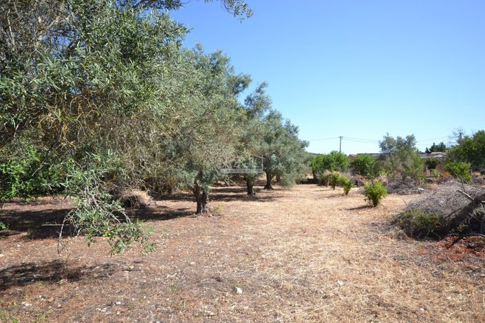 Image No.12-Land for sale