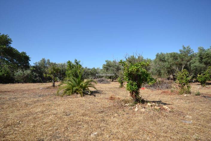 Image No.6-Land for sale