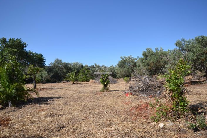 Image No.7-Land for sale