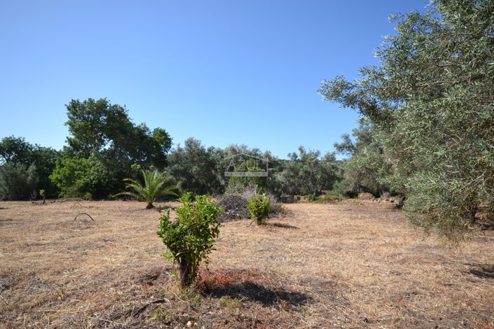 Image No.8-Land for sale