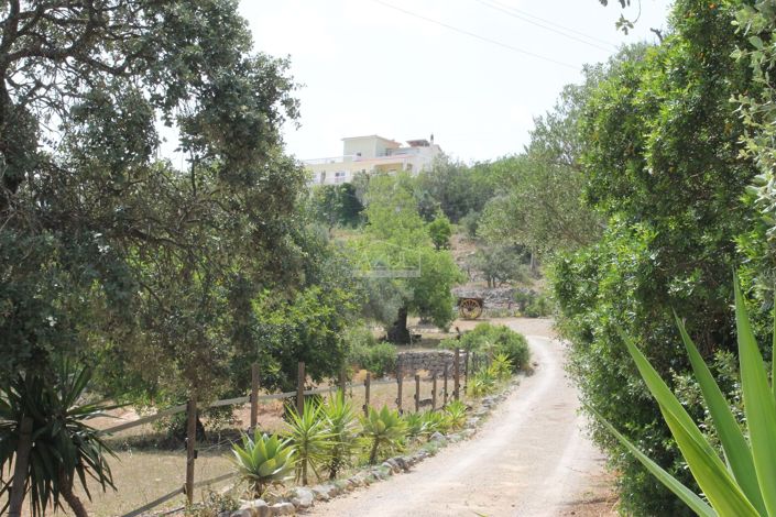 Image No.3-5 Bed Villa for sale