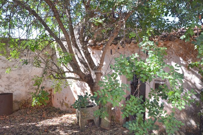 Image No.16-Property for sale