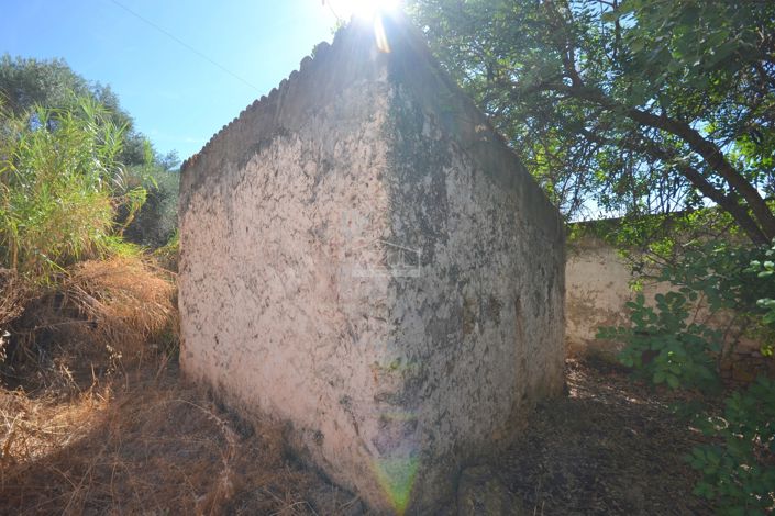 Image No.18-Property for sale