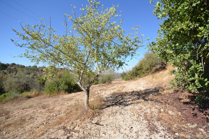 Image No.11-Land for sale