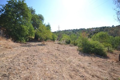 2425-357507-1254606e3c95c5e5ce938638595c7f664