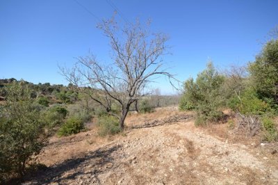 2425-357507-1254606e3c95c5e5ce938638595c7f664