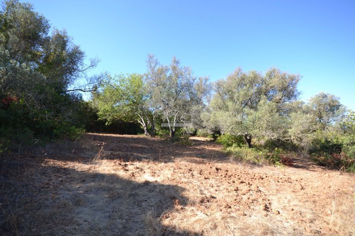 Image No.18-Land for sale