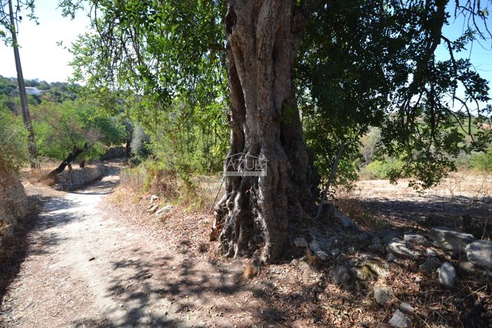 Image No.19-Land for sale