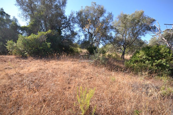 Image No.25-Land for sale