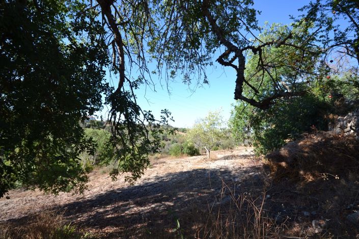 Image No.3-Land for sale