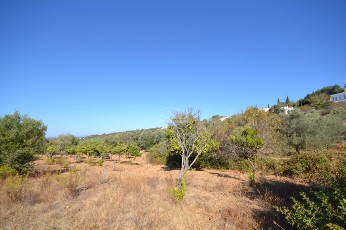 Image No.6-Land for sale