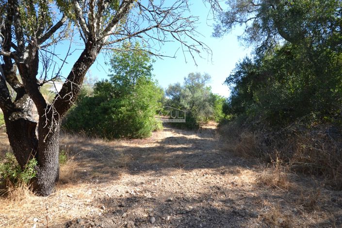 Image No.7-Land for sale