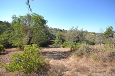 2425-357507-1254606e3c95c5e5ce938638595c7f664