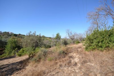 2425-357507-1254606e3c95c5e5ce938638595c7f664