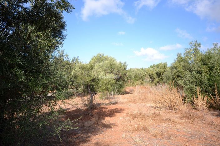 Image No.10-Plot for sale