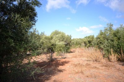 2425-359332-1254606e3c95c5e5ce938638595c7f664