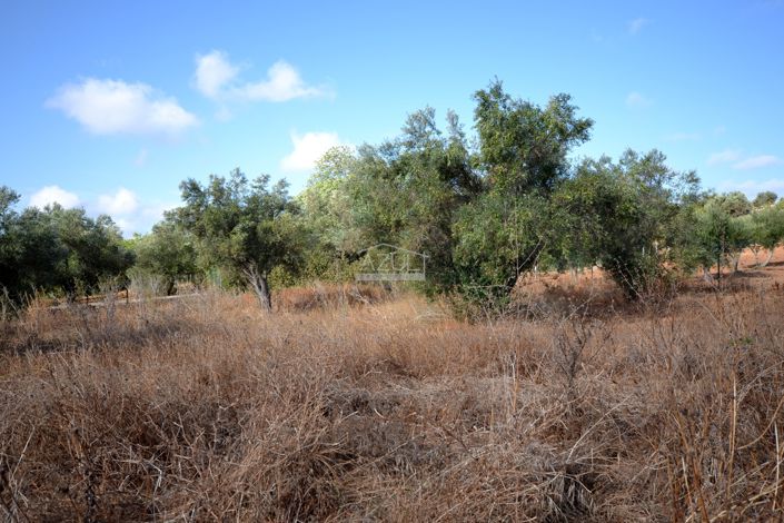 Image No.12-Plot for sale