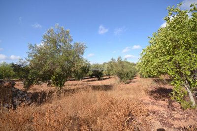 2425-359332-1254606e3c95c5e5ce938638595c7f664