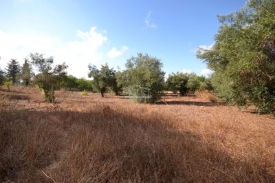 2425-359332-1254606e3c95c5e5ce938638595c7f664