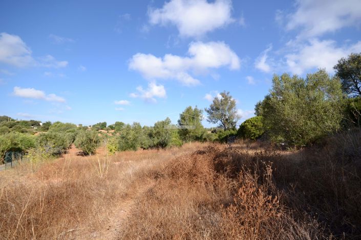 Image No.16-Plot for sale