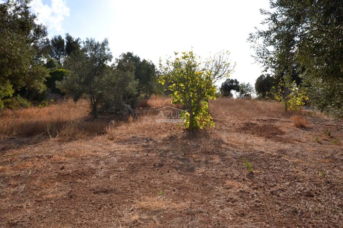 Image No.9-Plot for sale