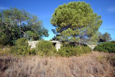 2425-360885-1254606e3c95c5e5ce938638595c7f664