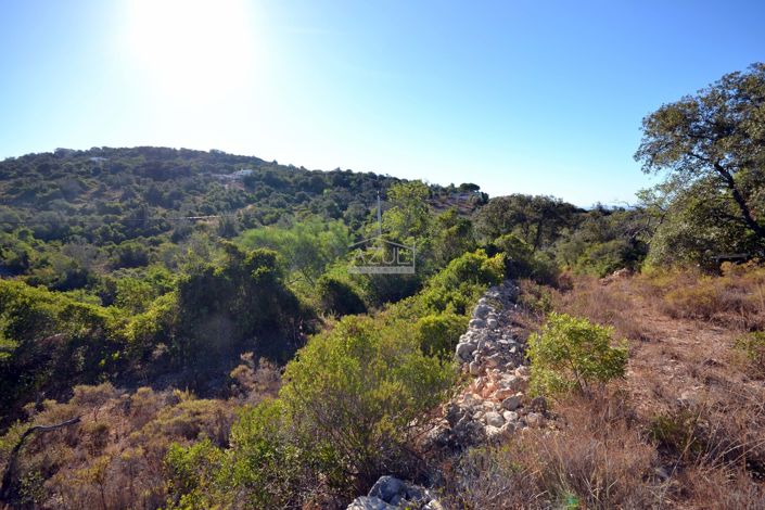 Image No.10-Plot for sale