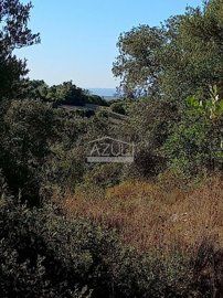 2425-360885-1254606e3c95c5e5ce938638595c7f664