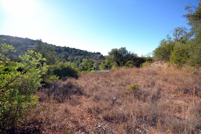 Image No.4-Plot for sale