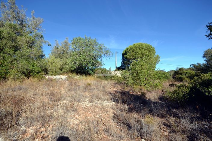 Image No.7-Plot for sale