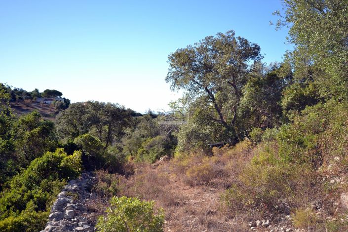 Image No.8-Plot for sale