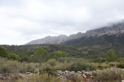 5824-plot-land-for-sale-in-jalon-58379-large
