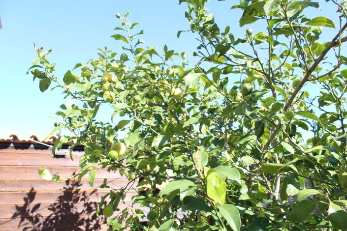 Image No.39-5 Bed Land for sale