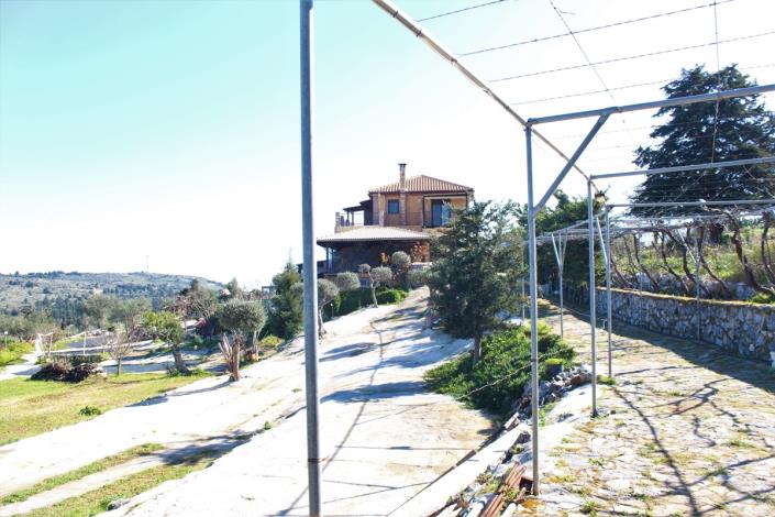 Image No.43-5 Bed Land for sale