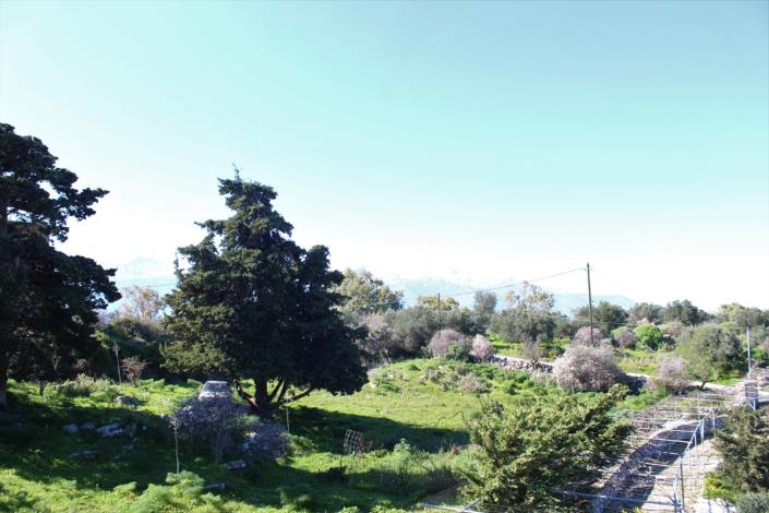 Image No.37-5 Bed Land for sale