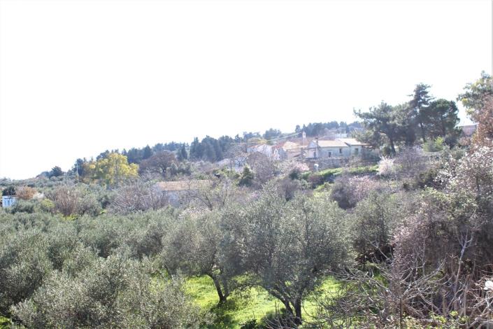 Image No.41-5 Bed Land for sale