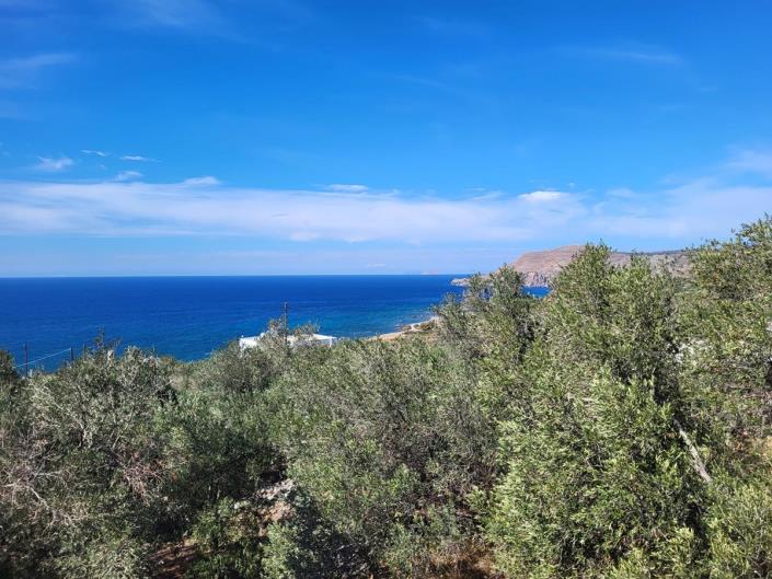 Image No.6-4 Bed House for sale