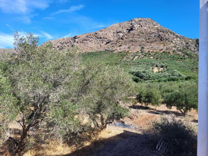 Image No.10-4 Bed House for sale