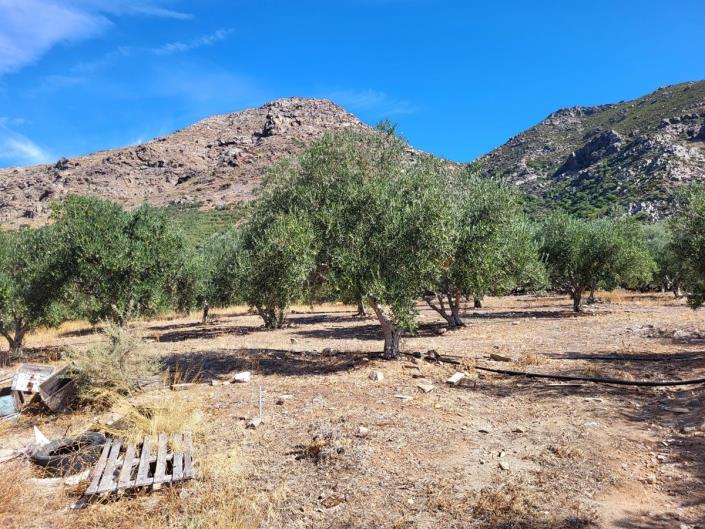 Image No.15-4 Bed House for sale