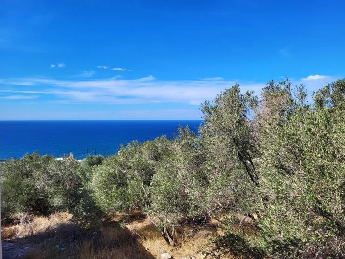 Image No.20-4 Bed House for sale