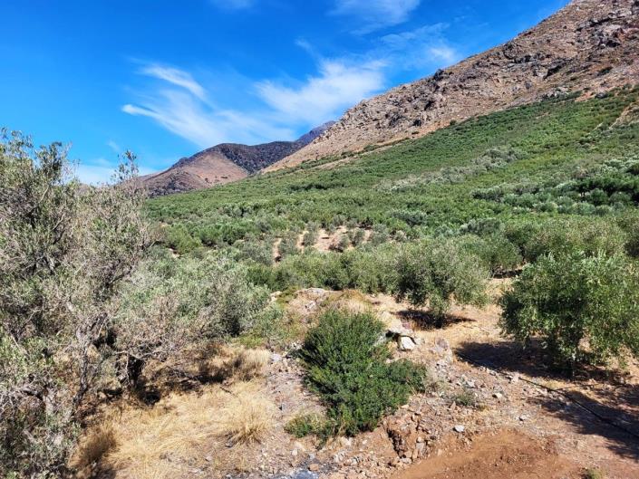 Image No.23-4 Bed House for sale