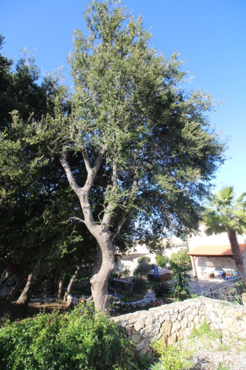 Image No.27-3 Bed Villa for sale