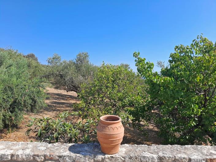 Image No.23-1 Bed Apartment for sale