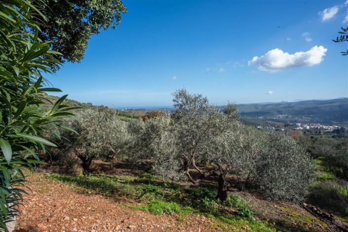 Image No.53-3 Bed Villa for sale