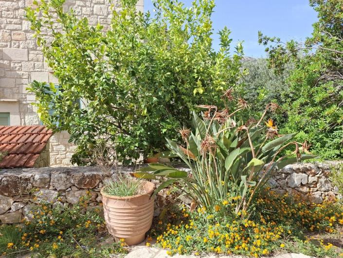 Image No.7-2 Bed House/Villa for sale