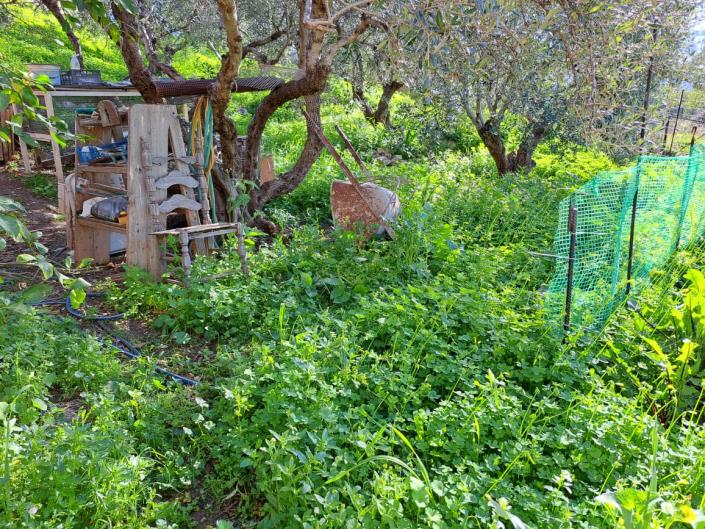 Image No.11-2 Bed Apartment for sale