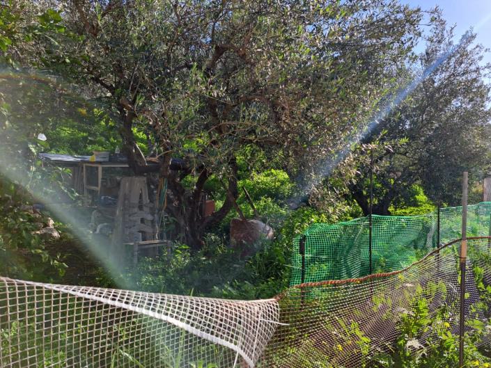 Image No.14-2 Bed Apartment for sale